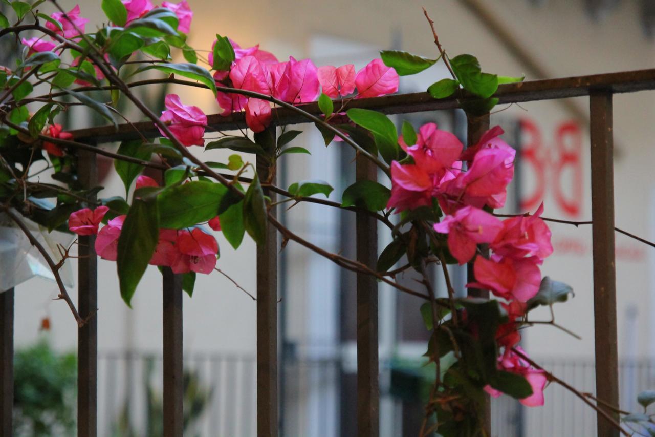 Cortile Stesicoro Bed and Breakfast Catania Exterior foto